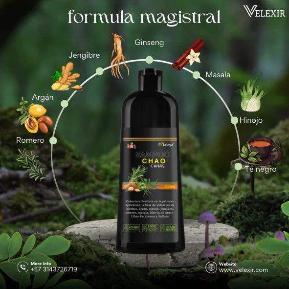 Shampoo Chao Canas + Tratamiento